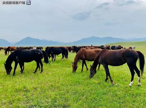 時政新聞眼｜習(xí)近平踏訪河西走廊：即從京城赴邊城，便下肅州向甘州